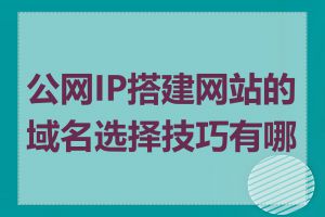 公网IP搭建网站的域名选择技巧有哪些