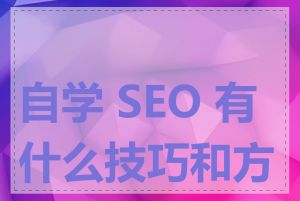 自学 SEO 有什么技巧和方法