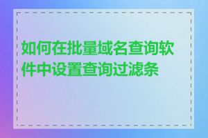 如何在批量域名查询软件中设置查询过滤条件