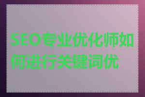 SEO专业优化师如何进行关键词优化