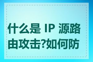 什么是 IP 源路由攻击?如何防范