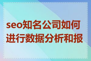 seo知名公司如何进行数据分析和报告