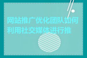 网站推广优化团队如何利用社交媒体进行推广