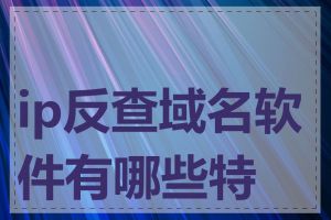 ip反查域名软件有哪些特点