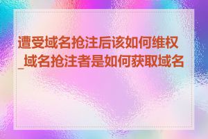 遭受域名抢注后该如何维权_域名抢注者是如何获取域名的