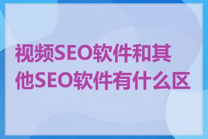 视频SEO软件和其他SEO软件有什么区别