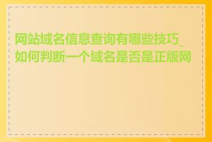 网站域名信息查询有哪些技巧_如何判断一个域名是否是正版网站