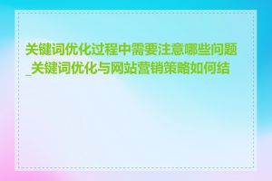 关键词优化过程中需要注意哪些问题_关键词优化与网站营销策略如何结合