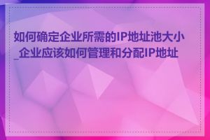 如何确定企业所需的IP地址池大小_企业应该如何管理和分配IP地址池