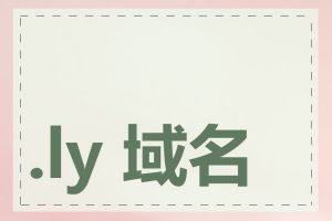 .ly 域名注册怎么样