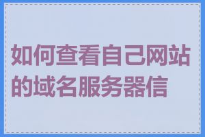 如何查看自己网站的域名服务器信息