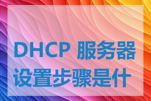 DHCP 服务器设置步骤是什么