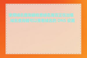 使用域名查询器检查域名是否正在出售_域名查询器可以查看域名的 DNS 设置吗