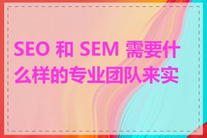 SEO 和 SEM 需要什么样的专业团队来实施