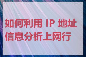 如何利用 IP 地址信息分析上网行为