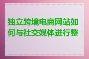 独立跨境电商网站如何与社交媒体进行整合