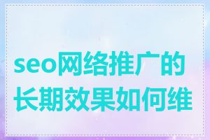 seo网络推广的长期效果如何维护