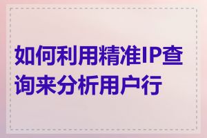 如何利用精准IP查询来分析用户行为