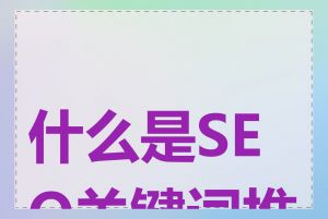 什么是SEO关键词推广