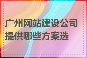 广州网站建设公司提供哪些方案选择