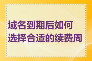 域名到期后如何选择合适的续费周期