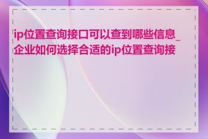 ip位置查询接口可以查到哪些信息_企业如何选择合适的ip位置查询接口