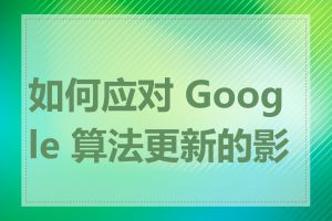 如何应对 Google 算法更新的影响