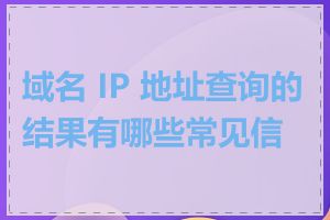 域名 IP 地址查询的结果有哪些常见信息