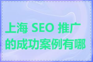 上海 SEO 推广的成功案例有哪些