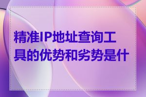 精准IP地址查询工具的优势和劣势是什么