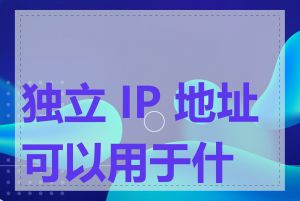 独立 IP 地址可以用于什么