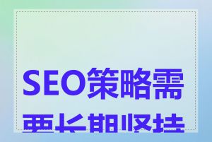 SEO策略需要长期坚持吗