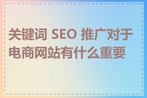 关键词 SEO 推广对于电商网站有什么重要性