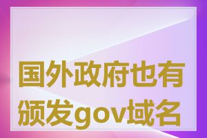 国外政府也有颁发gov域名吗