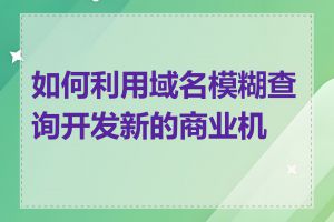 如何利用域名模糊查询开发新的商业机会