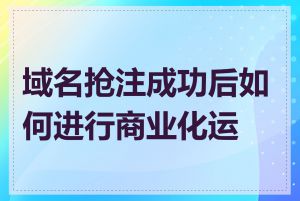 域名抢注成功后如何进行商业化运营