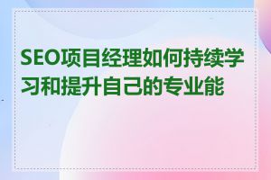 SEO项目经理如何持续学习和提升自己的专业能力