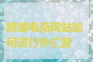 跨境电商网站如何进行外汇管理