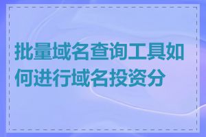 批量域名查询工具如何进行域名投资分析