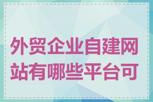 外贸企业自建网站有哪些平台可选