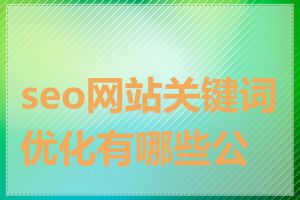 seo网站关键词优化有哪些公司