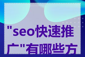 "seo快速推广"有哪些方法