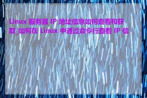 Linux 服务器 IP 地址信息如何查看和获取_如何在 Linux 中通过命令行查看 IP 信息