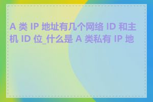 A 类 IP 地址有几个网络 ID 和主机 ID 位_什么是 A 类私有 IP 地址