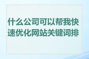 什么公司可以帮我快速优化网站关键词排名