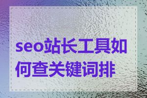 seo站长工具如何查关键词排名