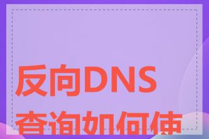 反向DNS查询如何使用