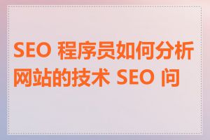 SEO 程序员如何分析网站的技术 SEO 问题