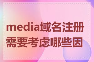 media域名注册需要考虑哪些因素