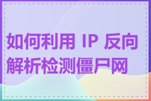 如何利用 IP 反向解析检测僵尸网络